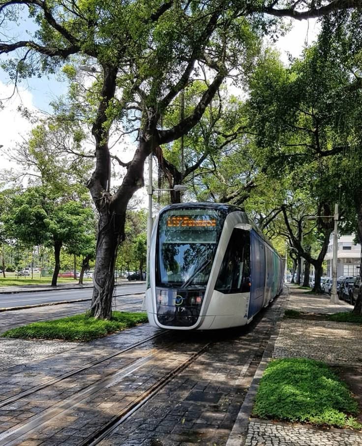 Tree-lined tram corridor representing Net Zero Cities mobility and urban greening